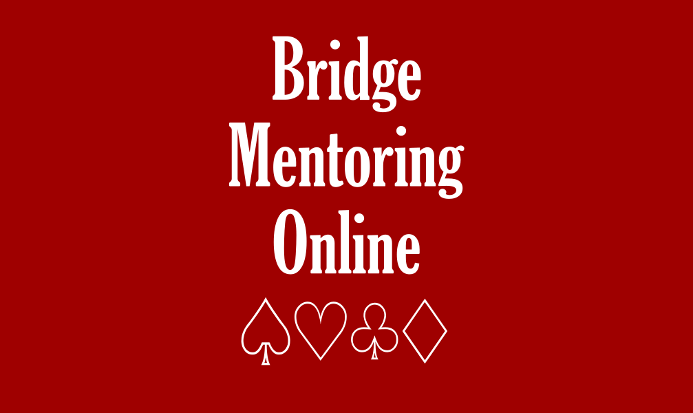 Bridge mentoring online sessions